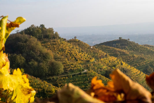 Colline venete e idee regalo dedicate al Veneto
