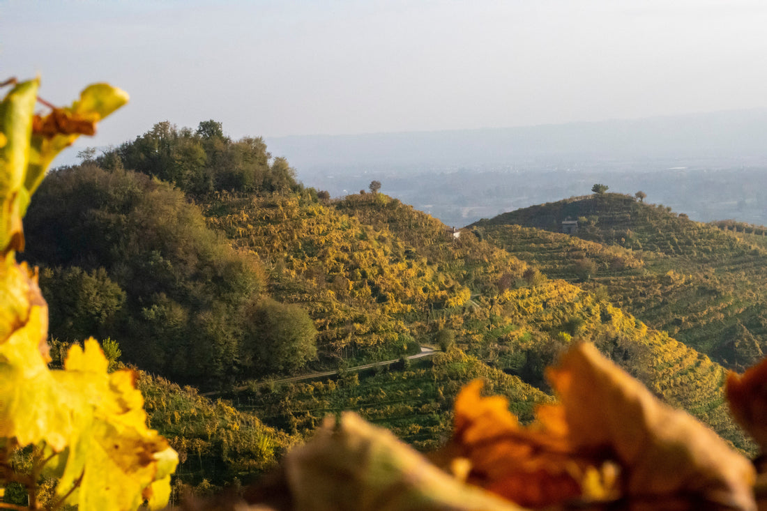 Paesaggio estivo delle colline venete