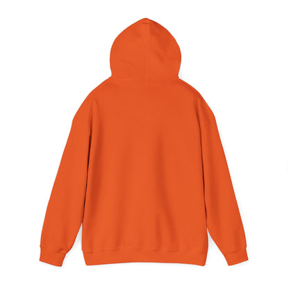 Le xe robe che cossavutto  – Felpa unisex con capuccio