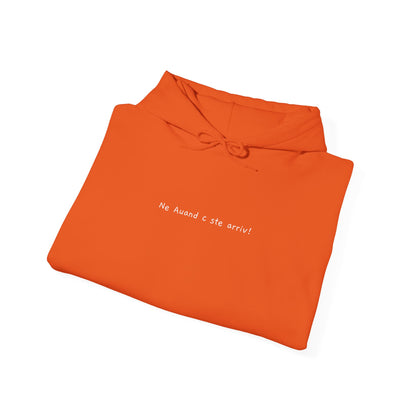 Ne Auand c ste arriv!  – Felpa unisex